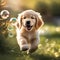 A joyful golden retriever puppy with a wagging tail, catching bubbles in a sunlit garden4