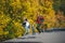 Joyful happy family jump on country road in autumn. Parents and kid on countryside background