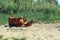 A joyful horse on the sand lying upside down for joy