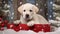 Joyful labrador puppy in gift box with festive holiday backdrop and space for text placement