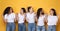 Joyful Ladies Holding Hands Smiling Each Other, Panorama, Studio Shot