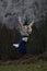 Joyful Leap: Energetic Blonde Woman Embraces Freedom, Jumping Happily Amidst Mountains