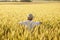 Joyful little boy running around in a field