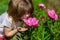 Joyful little girl sniff flowers