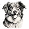 Joyful And Optimistic Animated Border Collie Dog Art