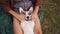 Joyful playtime, young woman cuddles with a smiling Pembroke Welsh Corgi in the park