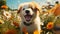 A joyful puppy playing in a field of wildflowers