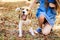 Joyful puppy walking with girl