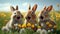 Joyful Rabbits in Spring Meadow - Easter illustration