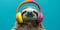 A Joyful Sloth Donning Colorful Headphones, Beckoning With Whimsical Charm And Music