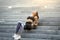 Joyful sporty woman resting at park after jogging