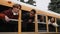 Joyful teens with heads out of school bus windows