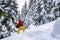 Joyful traveler, woman goes among huge pine trees