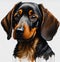 Joyful Whiskers: A Captivating Watercolor Portrait of a Happy Black and Brown Dachshund