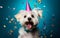 Joyful white fluffy dog with a shiny party hat and purple bow tie celebrating with colorful confetti on a cheerful blue background