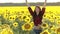 Joyful woman spinning around in sunflower field