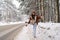 Joyful young Asian woman enjoying walking in winter nature, kicking snow towards camera and laughing