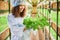 Joyful young woman with arugula plant standing in greenhouse.