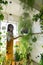 Joyful young woman gardener standing on stepladder, touches the hanging disco ball.Love of plants. Indoor garden