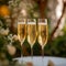 Joyous occasion Champagne glasses raised high in wedding celebration