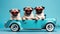 Joyride Companions: Funny Pug Dog and Cat with Sunglasses in Toy Car