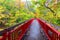 Jozankei Futami Suspension Bridge and Autumn forest
