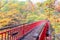 Jozankei Futami Suspension Bridge and Autumn forest