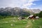 JP84887-Mountain chalets in the High Alps in France