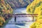 JR Tadami Line Train on the Bridge across Tadami River with Colourful maple tree in Autumn, Fukushima, Japan