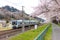 JR Tohoku train railroad track with row sakura tunnel and walkway with japanese  cherry blossom blooming at Hitome Senbon beside