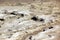 Judaean Desert, overlooking the Dead Sea at ancient city Masada, Israel