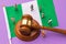 Judge gavel, Nigeria flag and plastic toy men, Nigerian society litigation concept