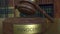 Judge`s gavel falling and hitting the block with INNOCENT inscription