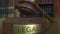 Judge`s gavel falling and hitting the block with LEGAL inscription