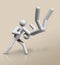 Judo 3D icon, Olympic sports