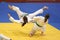 Judo action