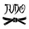 Judo black vector belt