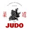 Judo sport t-shirt graphic print vector