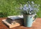 Jug with bouquet of forget-me-nots and books on wooden table