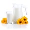 Jug and Glass of fresh milk and yellow flowers