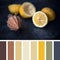 Juicing fresh lemons colour palette. Horizontal