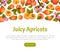 Juicy Apricot Fruit Banner Design with Ripe Garden Crop Vector Template