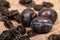 Juicy black plums and dried prunes on a homespun cloth with a rough texture. Close up. Autumn harvest