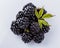 Juicy blackberries on a white acrylic background