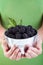 Juicy blackberries in woman hands