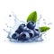 Juicy blueberries with splash