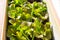 juicy bright green with a reddish tinge lettuce leaves in the box, close-up. Appetizing young leaves of sprig leafy