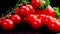 Juicy bunch of red small cocktail tomatoes lying on a black slate board, water drops add freshness, healthy eating concept,