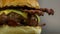 Juicy cheeseburger with crispy bacon in grilled brioche buns close up