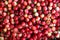 Juicy cherries fruit background, top view.